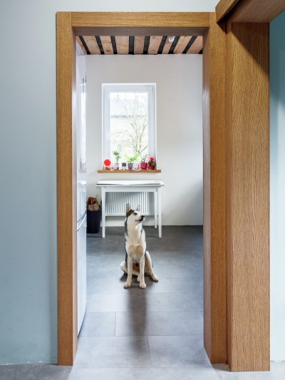 Портал шпон 5 (дуб)