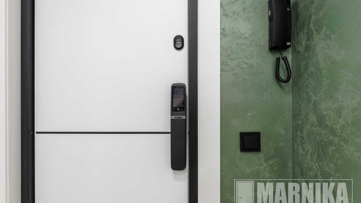 Современный стиль: входная дверь с умным замком в шпоне дуба, межкомнатные двери с алюминиевой кромкой и молдингами