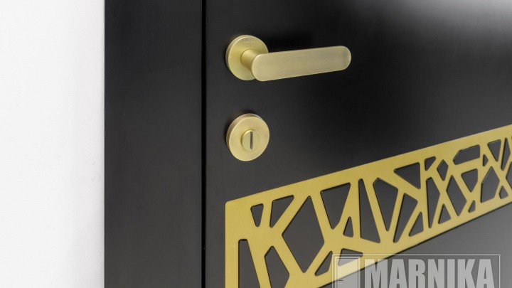 Элегантное сочетание чёрного и золота: входная и межкомнатные двери